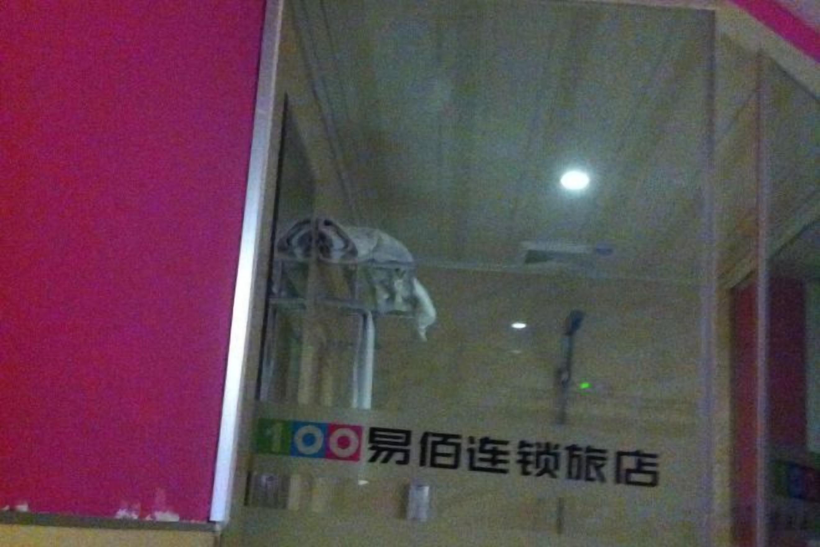 기타