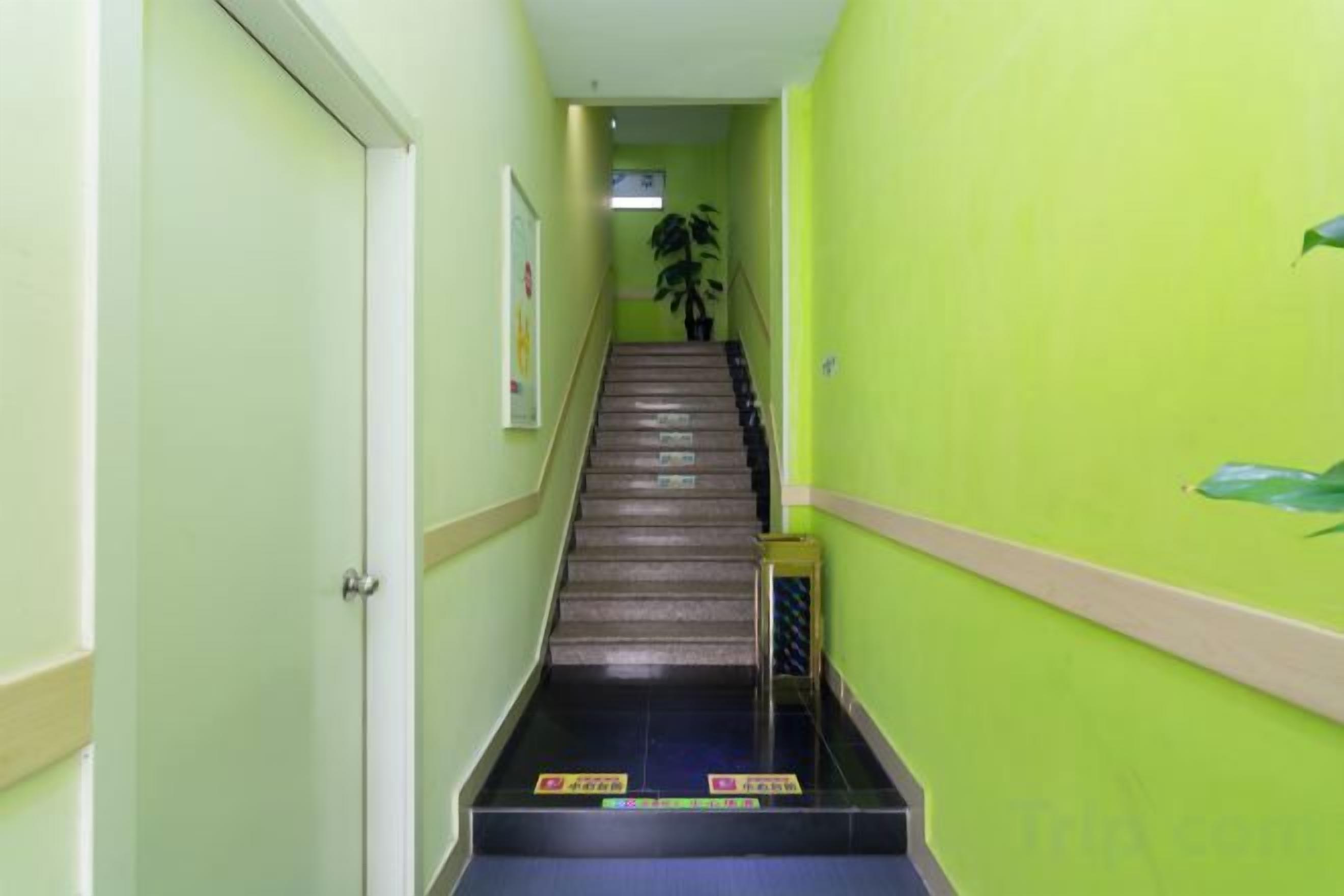 A hallway with a staircase, a door, and a potted plant.