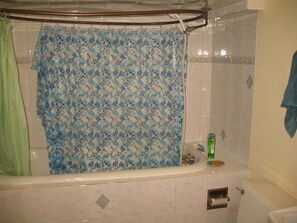 Hair dryer, towels, soap, toilet paper