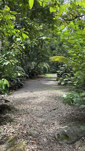 Property grounds - House in La Fortuna, with forest, river and mountains (La Fortuna)