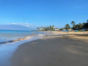 A beach with clear skies, palm trees, and a calm sea.