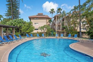 Piscine extérieure