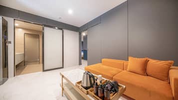 Luxury Suite | Living area | Computer monitors