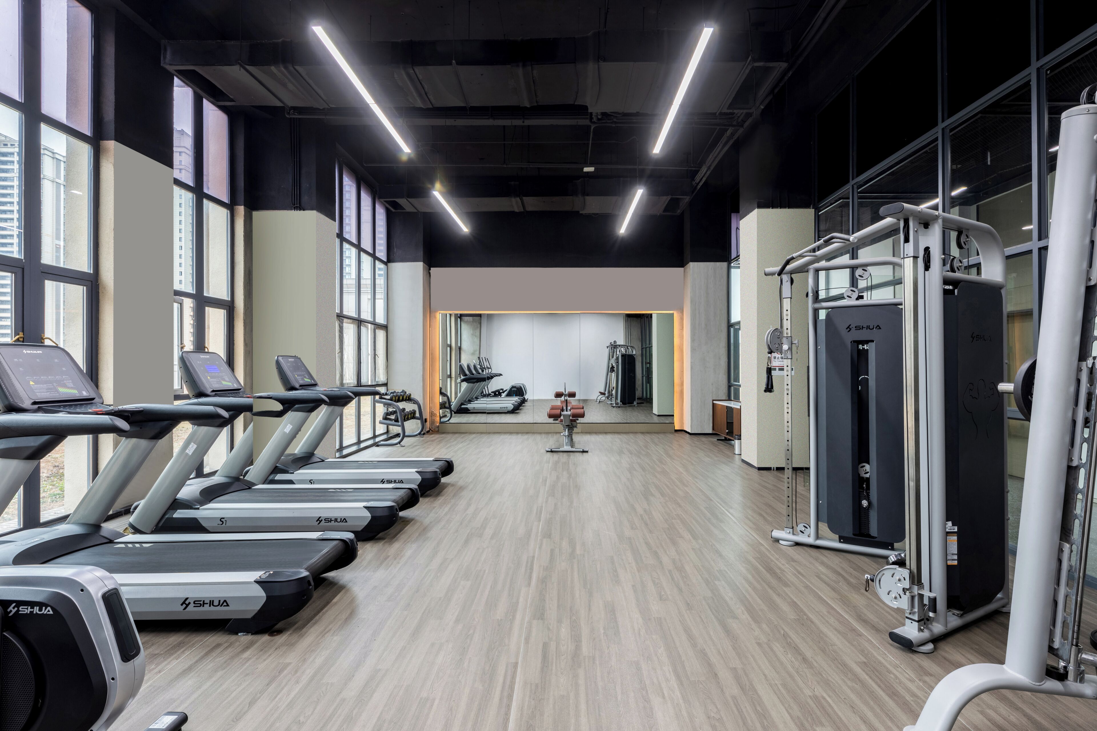 Gimnasio