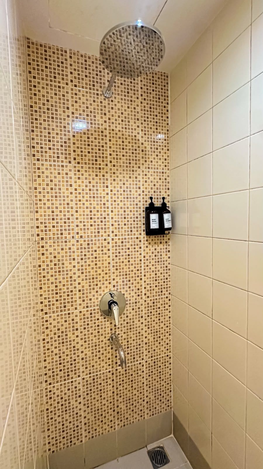 A shower with mosaic tiles, a handheld showerhead, and two bottles of body wash.