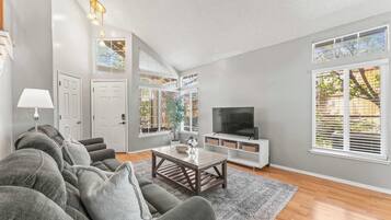 TV, fireplace, books, offices