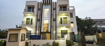 Gazelle By Wonderland