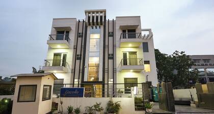 Gazelle By Wonderland