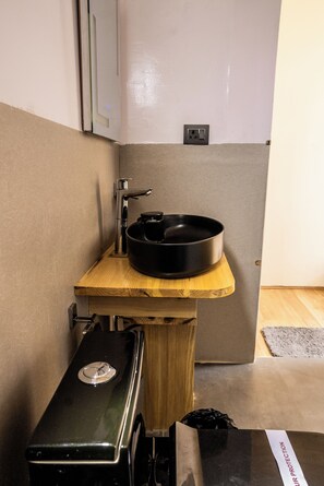 Shower, soap, shampoo, toilet paper - De Reeva Resort Pangong (Man)