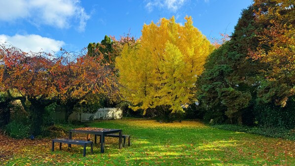 A park with a wooden bench and a picnic table, surrounded by trees with autumn foliage.