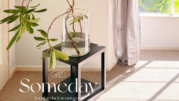 A room with a clear glass vase on a black table, a window with a view of greenery, and a door with a light switch. - Secluded 5rooms Farmhouse – Spacious Garden, BBQ & Pet-Friendly，Edge Hamilton (Matangi)