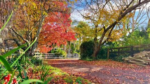 A park with a paved path, trees with autumn foliage, and a wooden fence. - Secluded 5rooms Farmhouse – Spacious Garden, BBQ & Pet-Friendly，Edge Hamilton (Matangi)