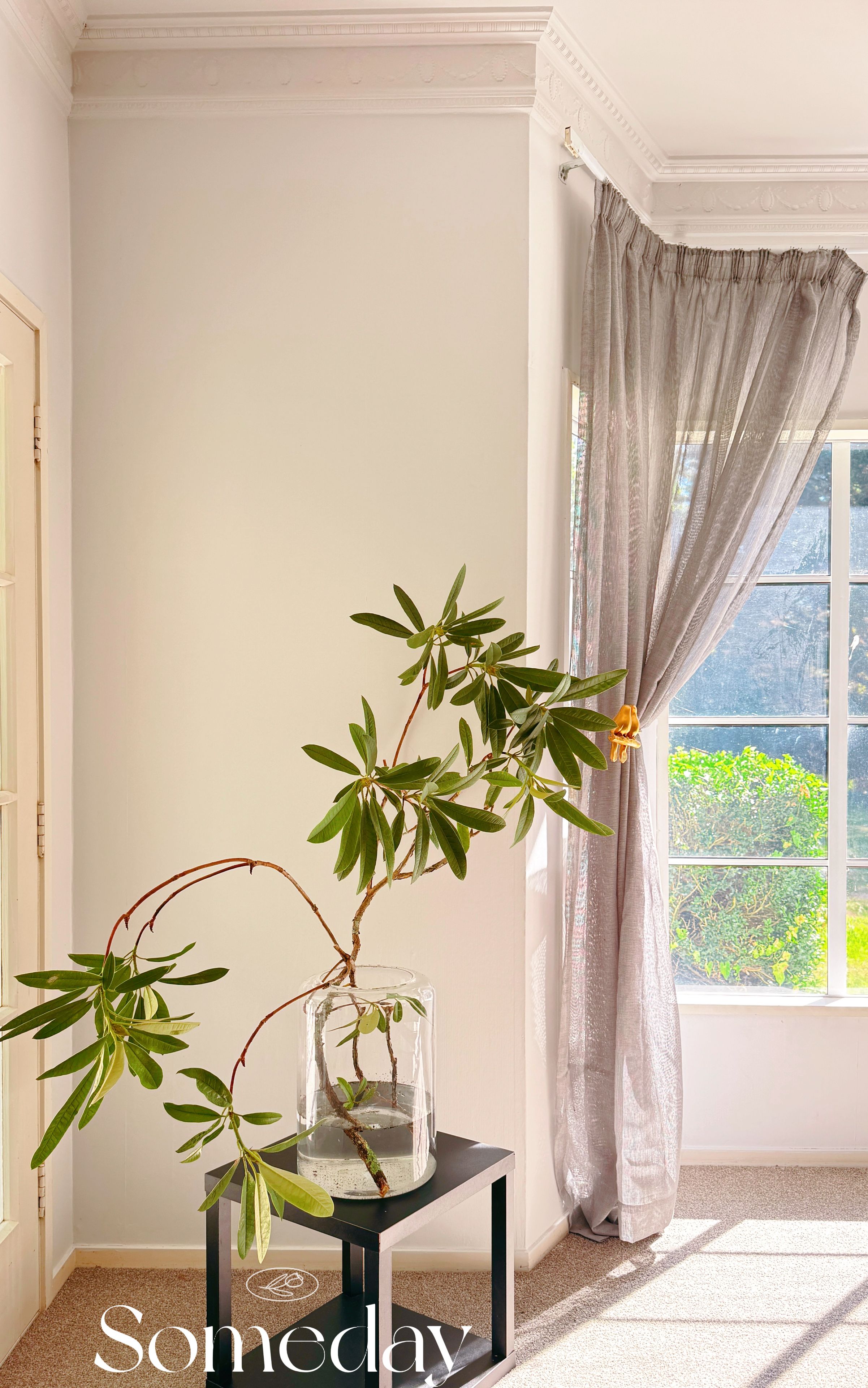 A room with a clear glass vase on a black table, a window with a view of greenery, and a door with a light switch.