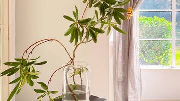 Een kamer met een glazen vaas op een zwarte tafel, een raam met uitzicht op groen en een deur met een lichtschakelaar.