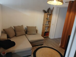 TV, books - Cosy apartment in Provence Verte near the Gorges du Verdon (Barjols)
