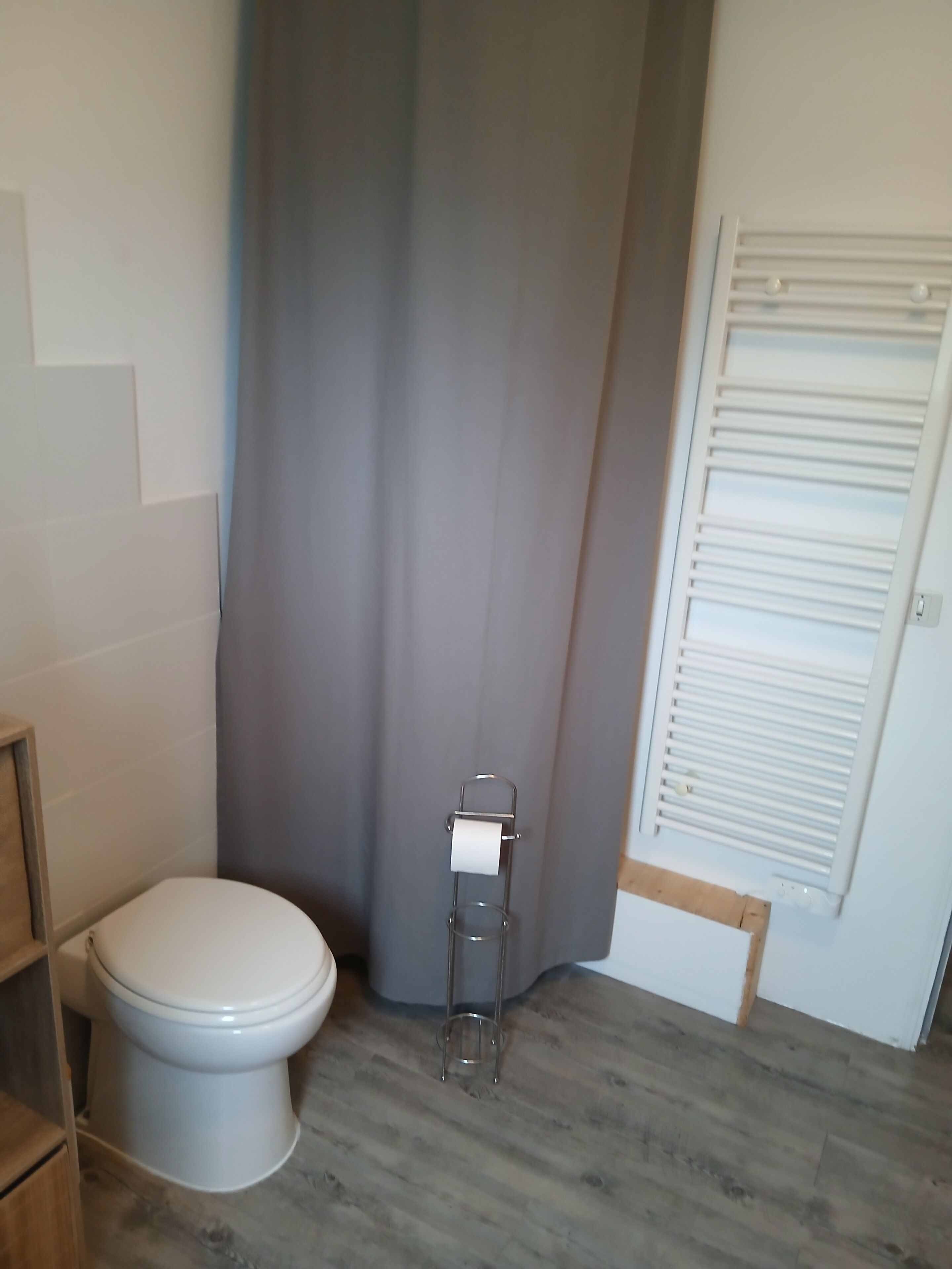 Een kleine badkamer met toilet, een handdoekhouder en een douchegordijn.