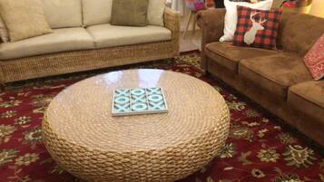 TV connectée, cheminée, lecteur de DVD, livres