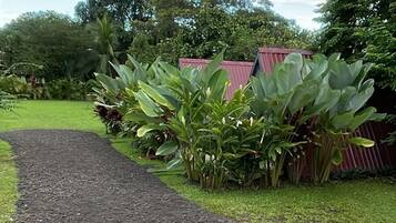 A pathway leading to a building with a red roof, surrounded by lush greenery and a clear sky.