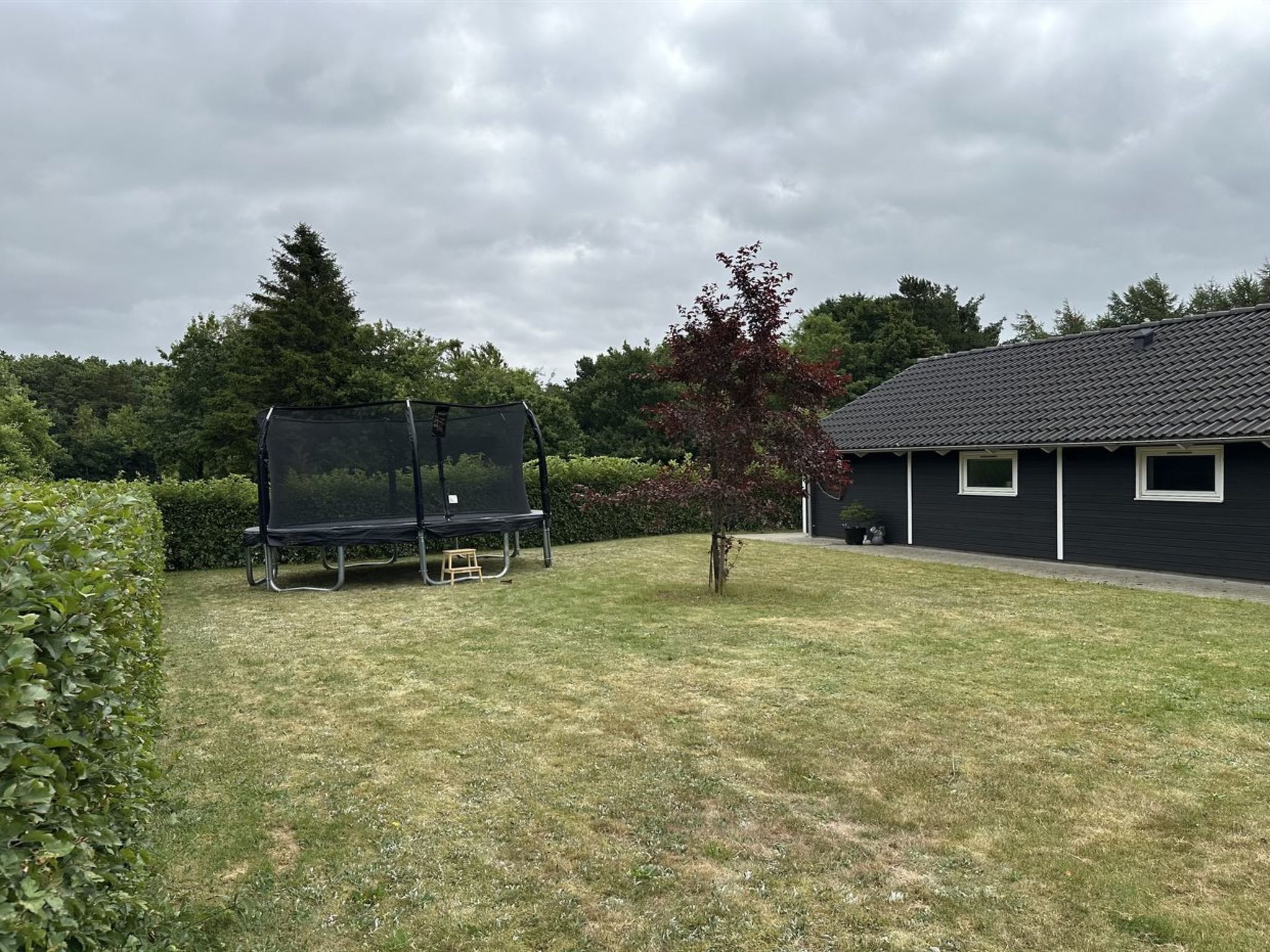 Un espace extérieur verdoyant avec un trampoline, un petit arbre, une haie et un bâtiment doté d’un toit sombre.