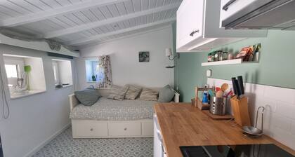 Studio 2 people in the middel of nature