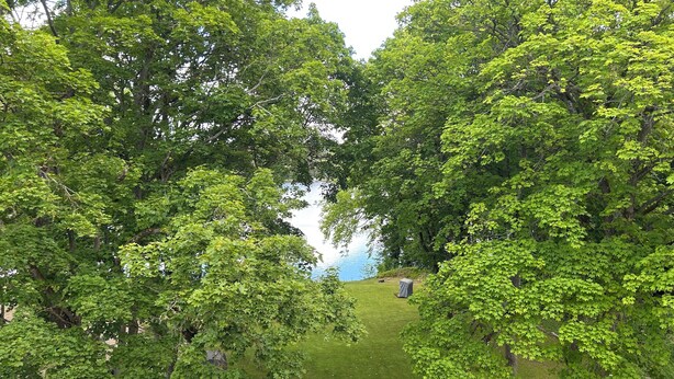 Un parc avec une zone herbeuse, des arbres et une étendue d’eau en arrière-plan.