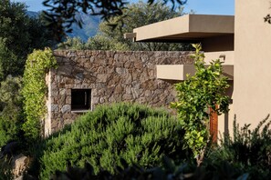 A stone wall with a window, surrounded by greenery and a building with a flat roof.