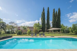 Ein rechteckiger Swimmingpool mit klarem, blauem Wasser, umgeben von einer gefliesten Liegefläche. Vier Liegestühle sind entlang des Poolrandes aufgereiht, und ein Sonnenschirm spendet Schatten. Im Hintergrund sind hohe, schlanke Bäume zu sehen, und hinter den Bäumen befindet sich ein Gebäude mit einem gefliesten Dach.