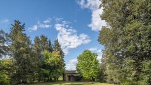 Eine rustikale Holzhütte, umgeben von dichtem Wald, mit blauem Himmel.
