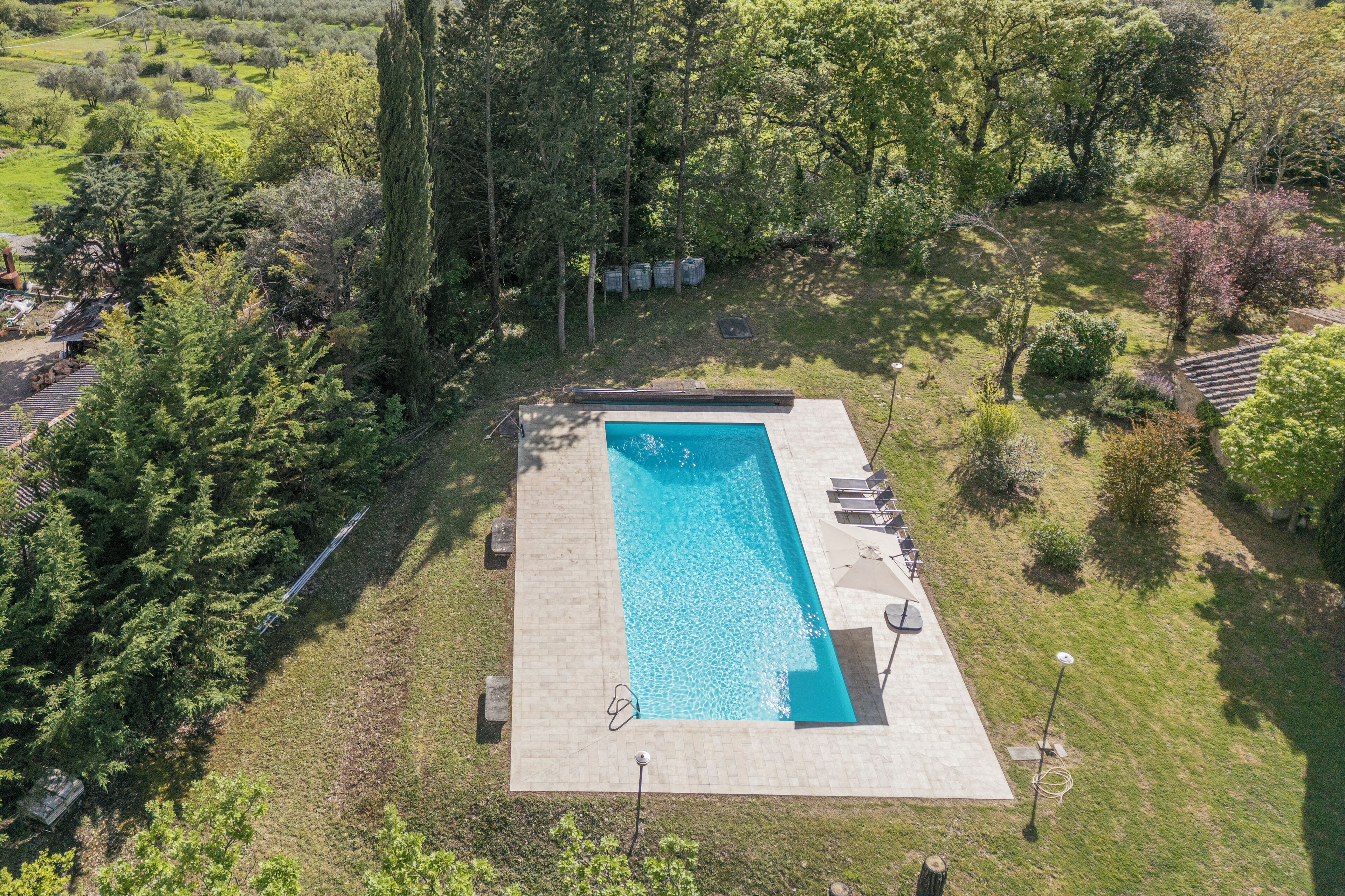 Una piscina rectangular con solárium empinado, rodeada de árboles y césped.