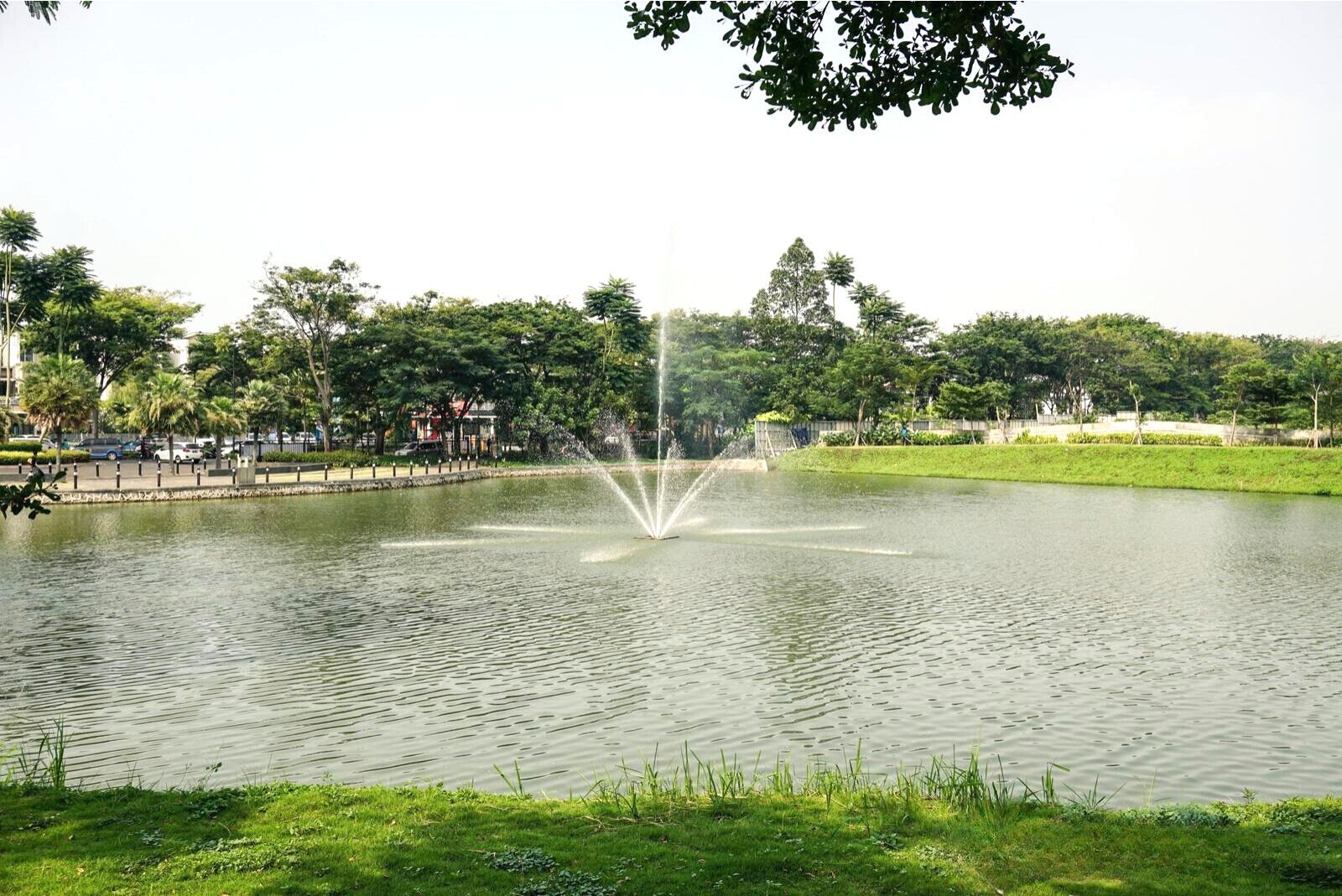 A tranquil park with a central fountain, surrounded by lush greenery and a paved walkway.