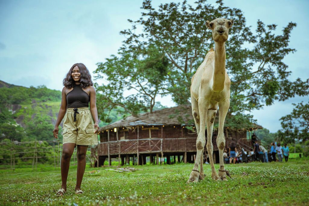 A person standing next to a camel in a grassy area with a wooden structure in the background.