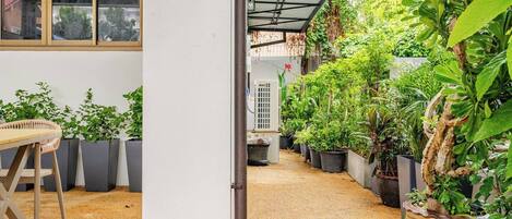 Opções para refeição ao ar livre