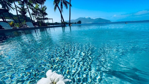 A clear pool with a white flower floating on the surface, surrounded by palm trees and a view of the ocean. - Sublime Tahiti Beach Retreat (Teva I Uta)