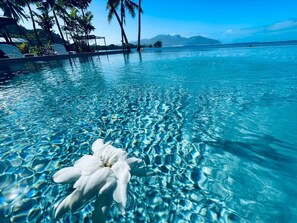 Une piscine aux eaux cristallines, ornée d’une fleur blanche flottant à la surface, entourée de palmiers et offrant une vue sur l’océan.