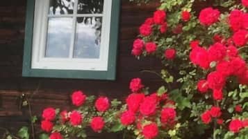 Apartment, 1 Bedroom, Accessible, Terrace | Garden