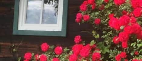 Apartment, 1 Bedroom, Accessible, Terrace | Garden