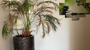 A tall, textured planter with a plant, a wall-mounted light fixture, and a small artwork.