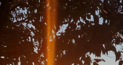 Banksia Hideaway (K'gari Fraser Island)
#Kingfisher Bay Resort