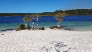 Una spiaggia con acque cristalline, alberi e una zona boschiva in lontananza.