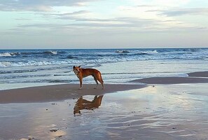 In Strandnähe
