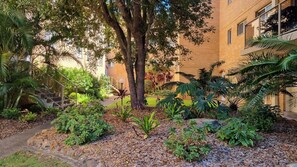 Property grounds - Anchorage 31 in central Tuncurry (Tuncurry)