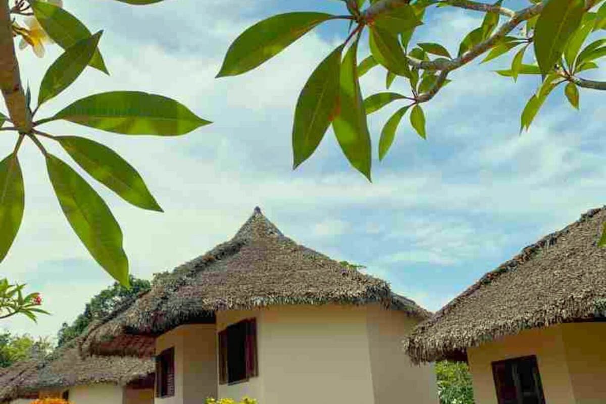 A row of thatched-roof cottages with a dirt path leading to them, surrounded by greenery.