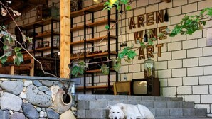 A dog resting on stone steps in front of a building with a brick wall and wooden shelves. - Areni Wine Art (Areni)