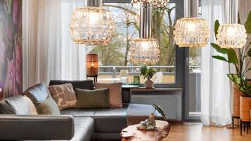 Televisie, een open haard, een dvd-speler en boeken