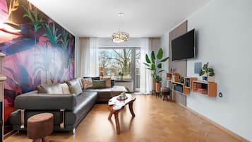 Télévision, cheminée, lecteur de DVD, livres