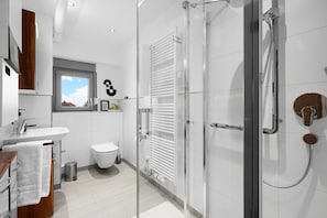 A modern bathroom with a glass shower enclosure, a white sink, and a toilet.