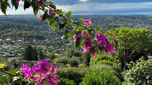 A view of a lush green landscape with bougainvillea flowers in the foreground and a distant cityscape under a partly cloudy sky. - Villa Bougainvilliers (Vence)