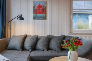 تلفزيون، مدفأة، مشغل دي في دي، كُتُب