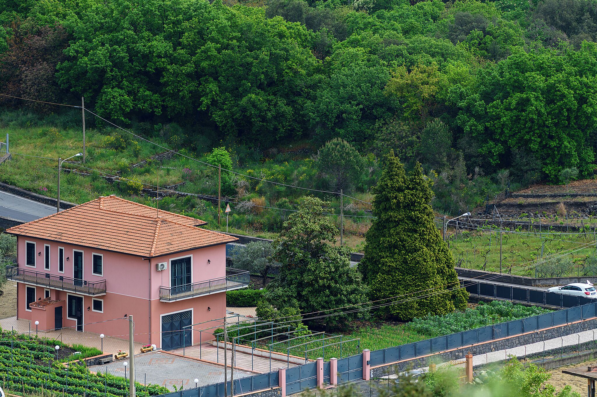 頂樓露台
