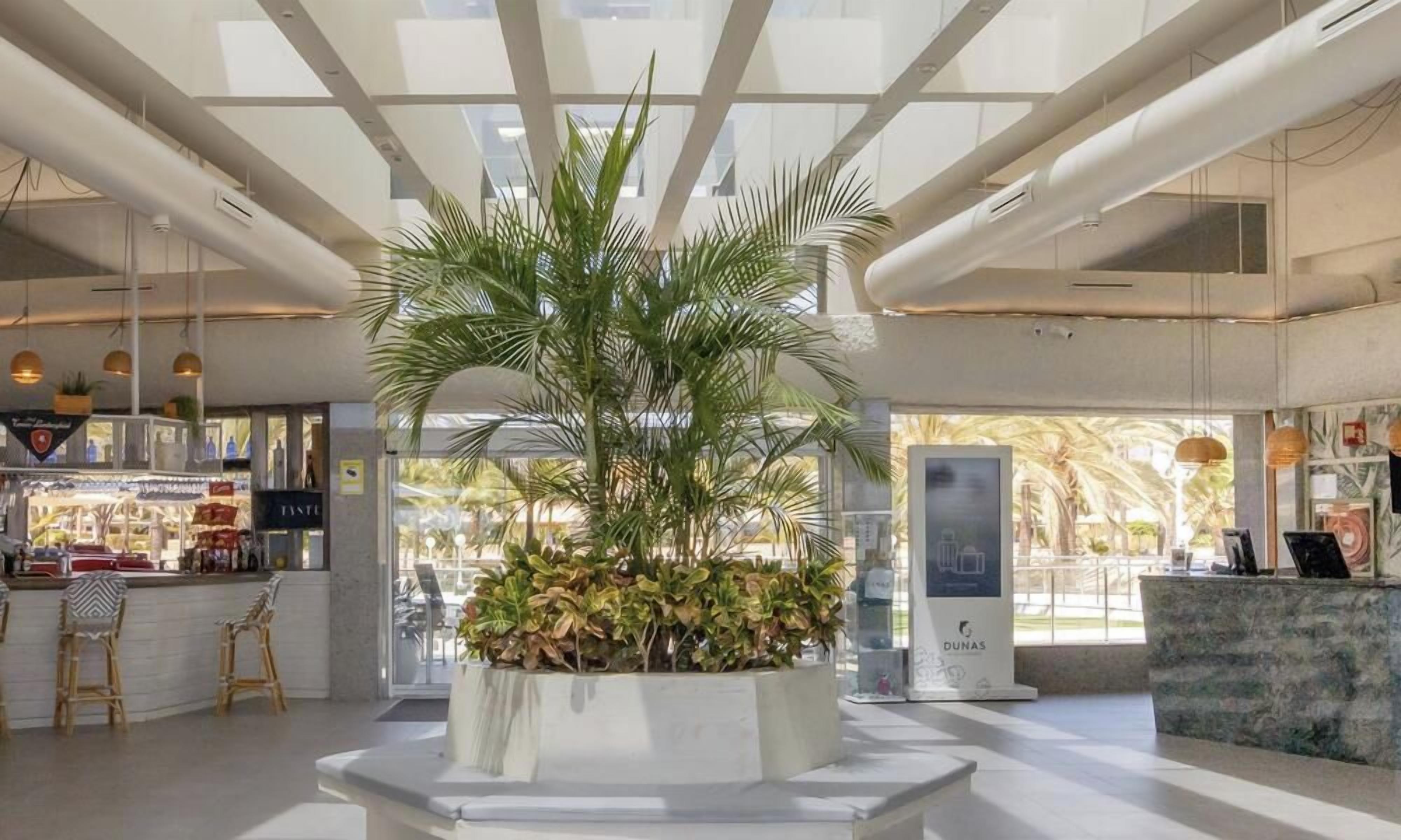 Een moderne lobby met een centrale plantenbak, zithoek, receptiebalie en een zichtbare bar.